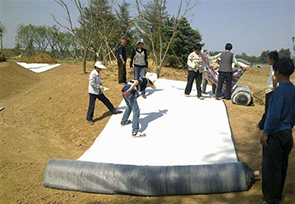 蜜桃APP下载软件施工案例