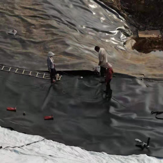 电站贮灰场蜜桃永久免费膜