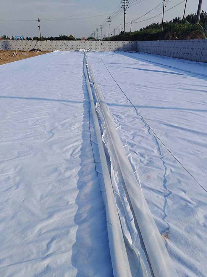 复合蜜桃永久免费膜施工