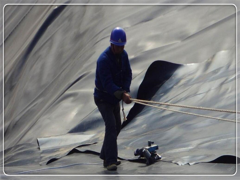 蜜桃永久免费膜施工