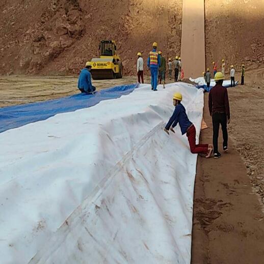 水库大坝整体防渗方案—蜜桃永久免费膜成功案例