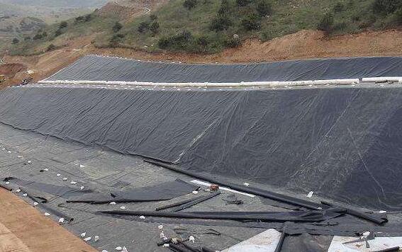 蜜桃永久免费膜在养殖防渗中的应用