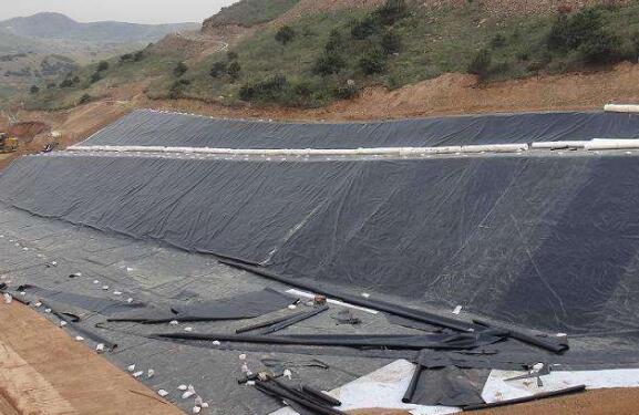 那了解聚乙烯蜜桃永久免费膜的应用领域吗