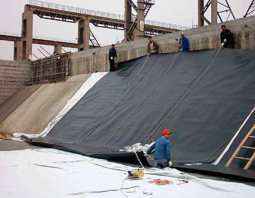 蜜桃精品成人影片蜜桃永久免费膜铺设时需要做哪些工作