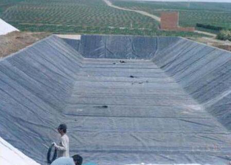 HDPE蜜桃永久免费膜厂家介绍HDPE蜜桃永久免费膜不被植物根系破坏的两个前提