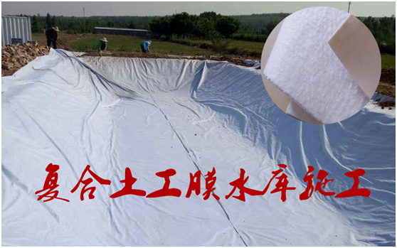 蜜桃永久免费膜在底板的作用不言而喻