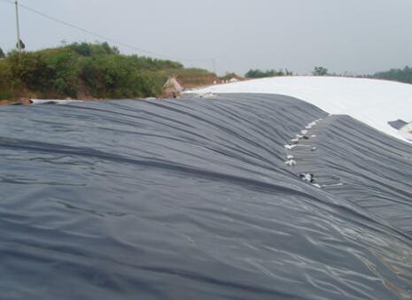 蜜桃永久免费膜铺设过程的质量控制