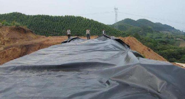 蜜桃永久免费膜在存放时的注意事项以及有哪些特性