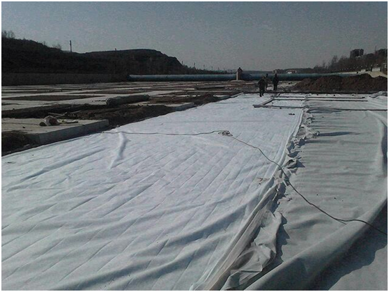 蜜桃永久免费膜在大堤堤基垂直铺设的经验