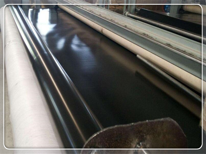 国标蜜桃永久免费膜