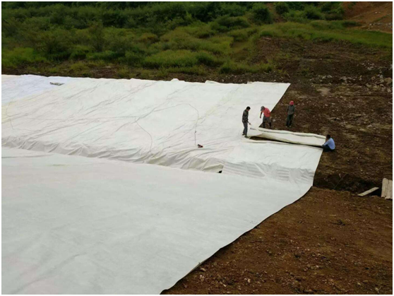 蜜桃永久免费膜覆盖对渗滤液填埋气体病虫害的现实意义