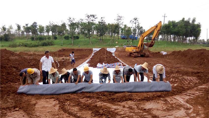 蜜桃APP下载软件