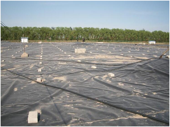 蜜桃永久免费膜在填埋场填埋区域临时覆盖要求