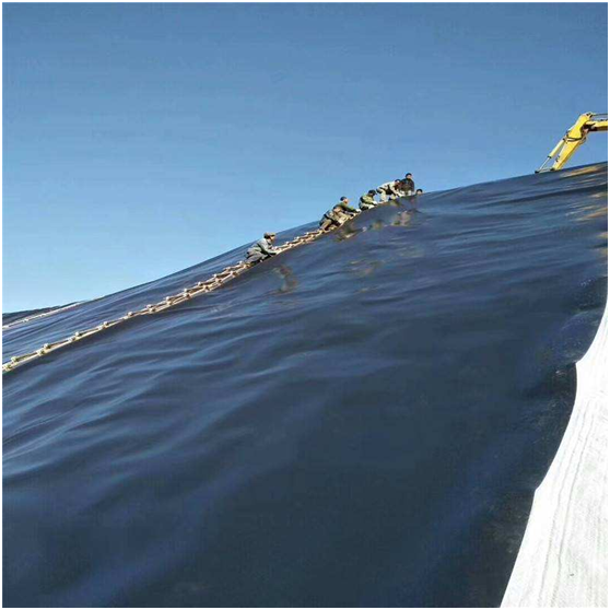 蜜桃永久免费膜覆盖对渗滤液处理的影响