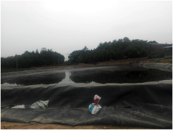 蜜桃永久免费膜根据原材料可分为聚合物和沥青两大类