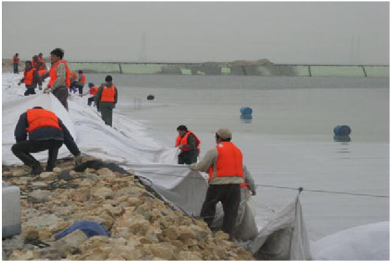 蜜桃永久免费布性能介绍 水运工程如何大显神通