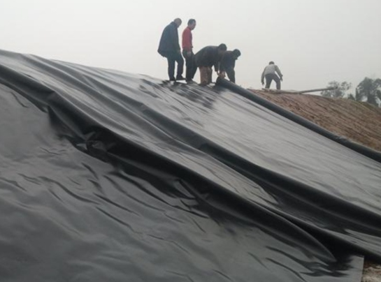 蜜桃永久免费膜在道路防渗施工中应用的核心焦点