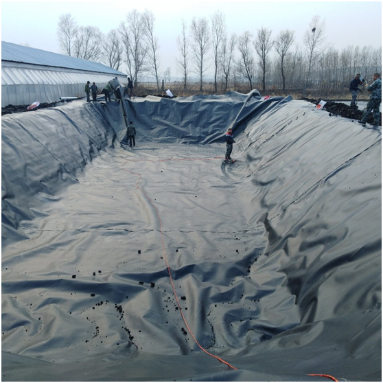 复合蜜桃永久免费膜的经济效益被广泛推广