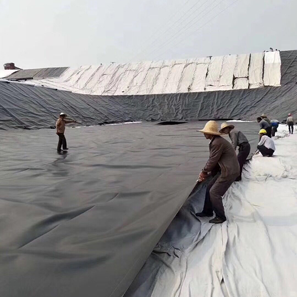 水库蜜桃永久免费膜采购需要注意哪些问题？