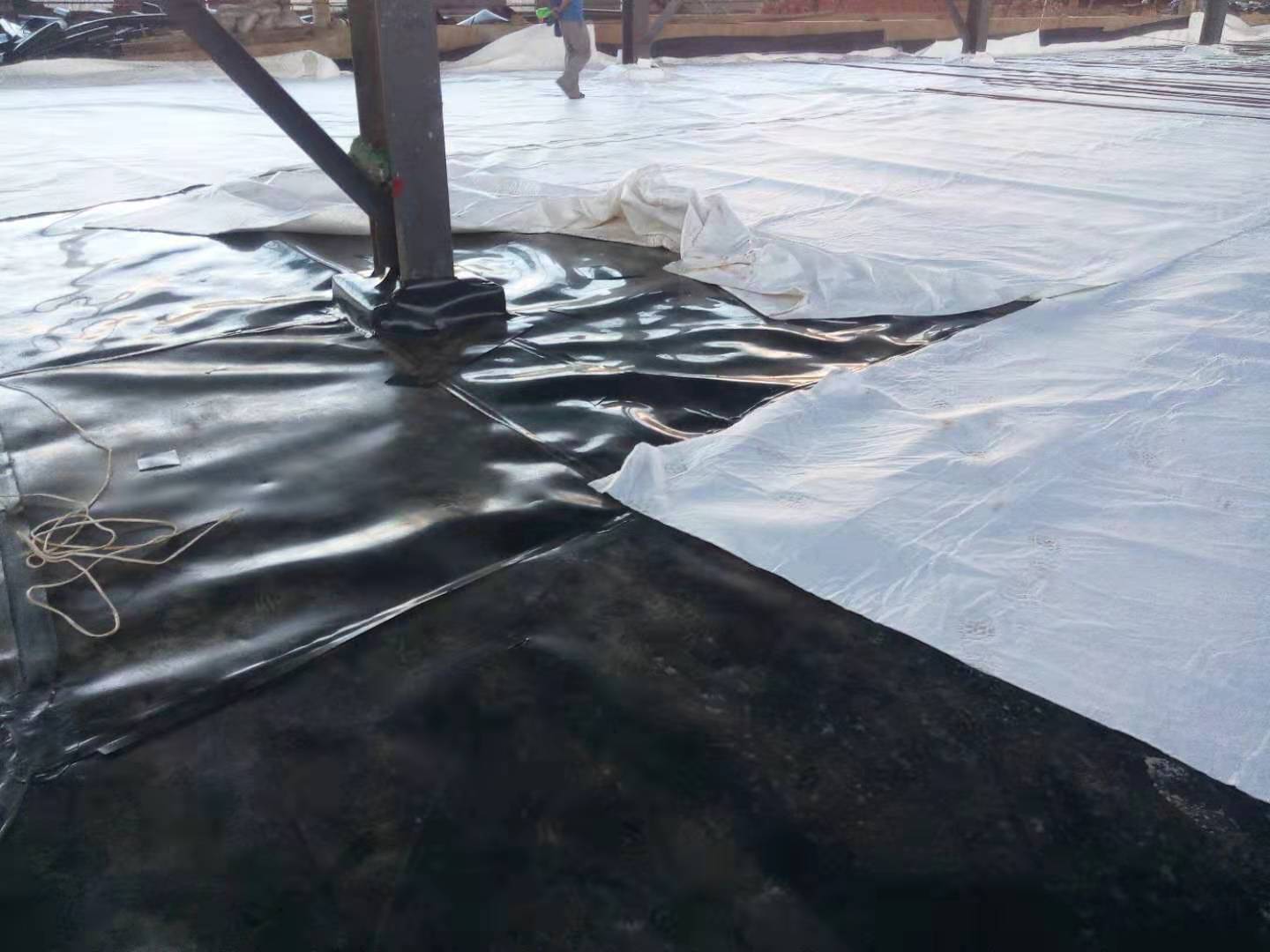 避免蜜桃永久免费膜出现鼓包和褶皱情形有方法