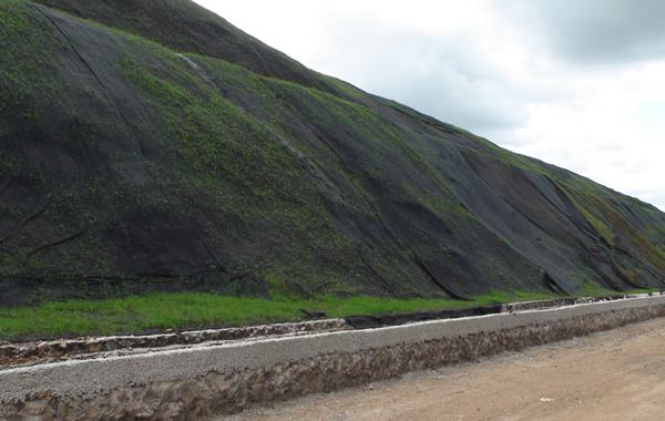 营养蜜桃永久免费布