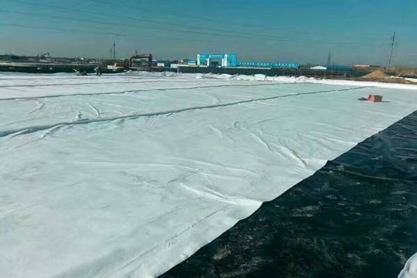 复合蜜桃永久免费膜生产规模较大的厂家有哪些？