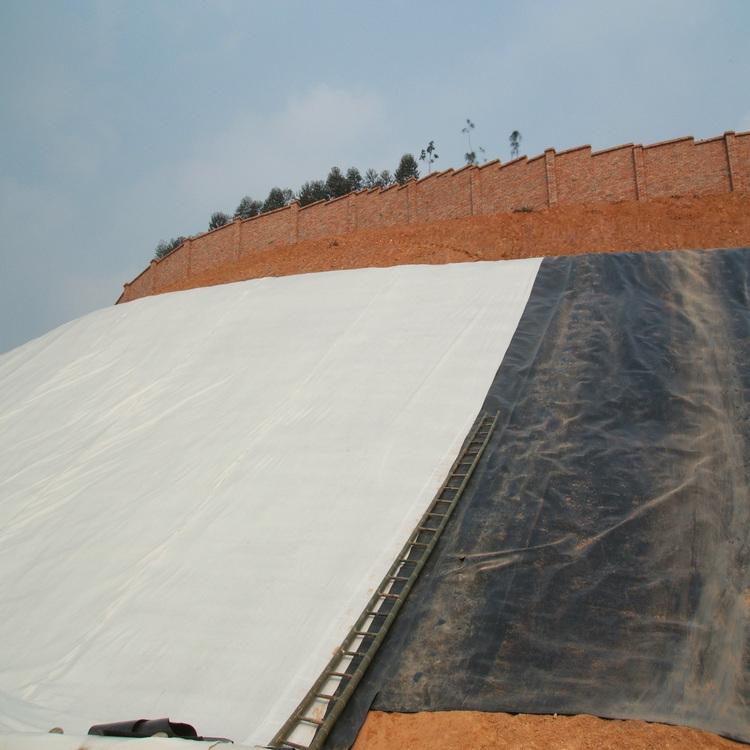 蜜桃永久免费膜防渗技术如何施工可具有显著经济性