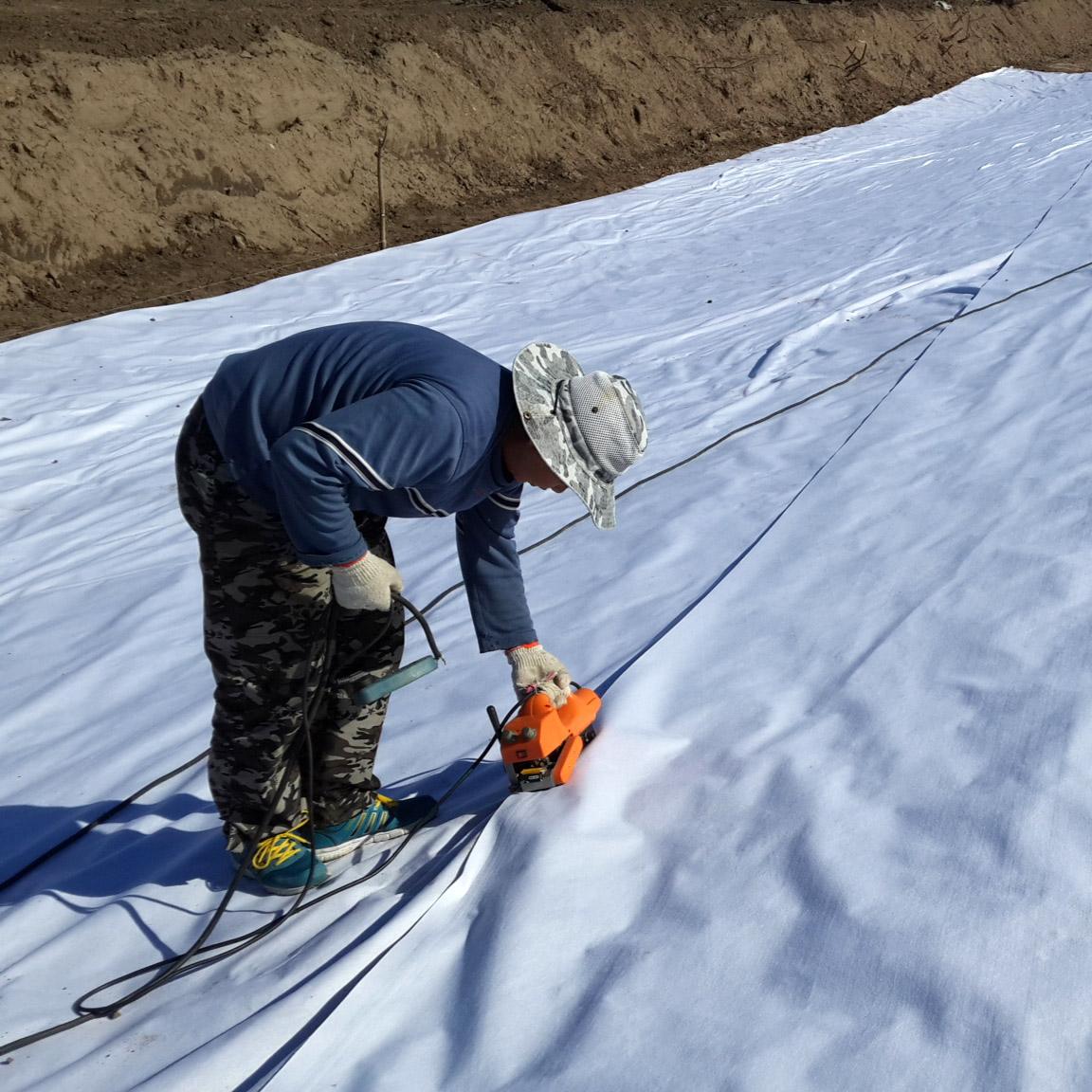 复合蜜桃永久免费膜可实现堤坝自身性能和内部结构改善