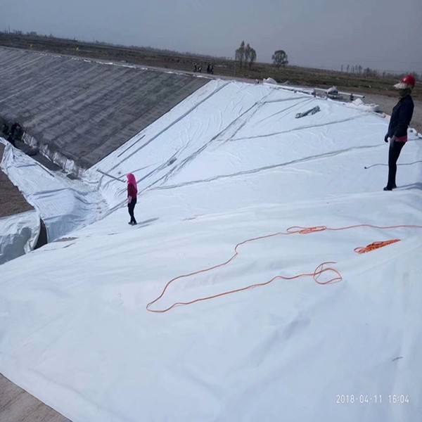 复合蜜桃永久免费膜