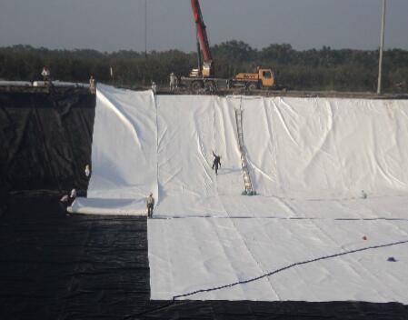 新建水库库区蜜桃永久免费膜防渗设计