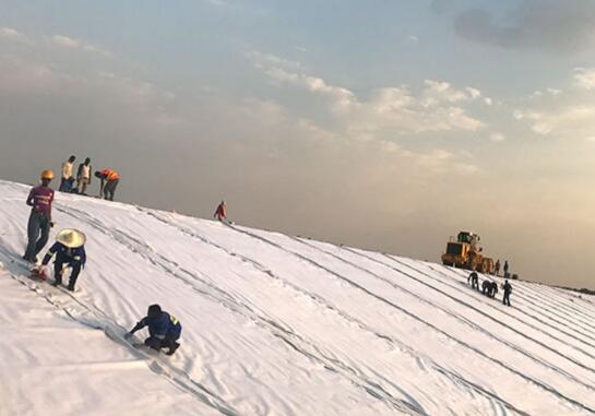 针刺蜜桃永久免费布都有哪些功能可供工程需要？