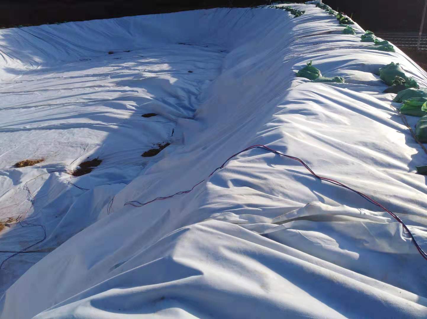 复合蜜桃永久免费膜方式总体与防水层结构加固的经济收益