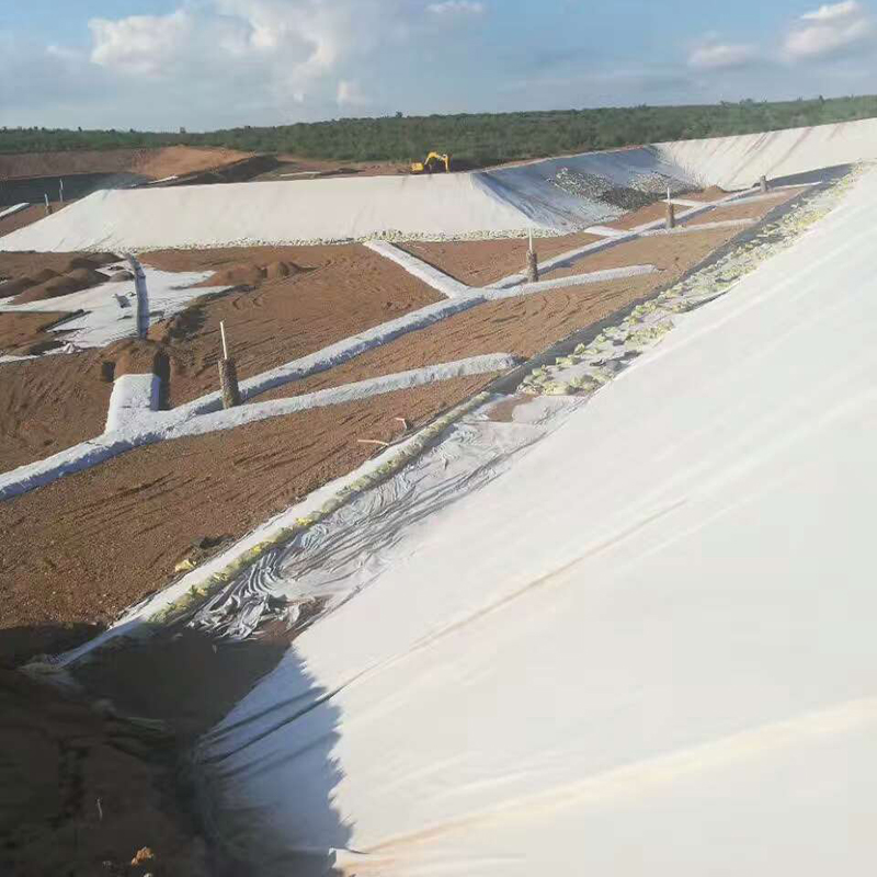 土体含水率对蜜桃永久免费布的影响有多大？