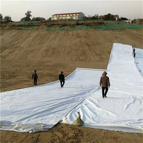 防渗复合蜜桃永久免费布能有效隔断外界水