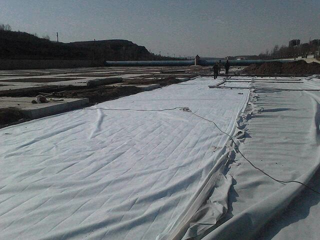 季节性复合蜜桃永久免费布技术指标有哪些？