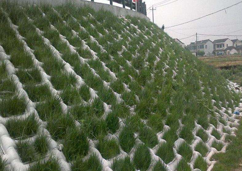 蜜桃永久免费模袋