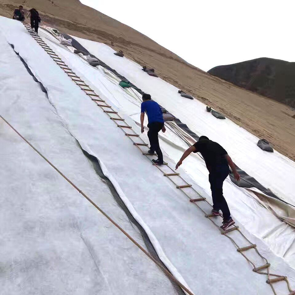 蜜桃永久免费膜技术对于小型水库进行除险加固是科学可行的