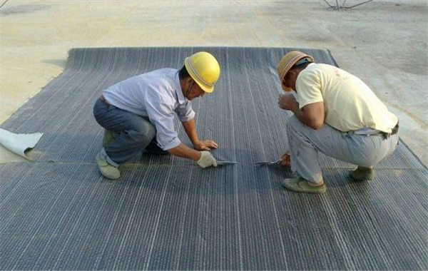 钠基蜜桃APP下载软件现场裁剪及铺设