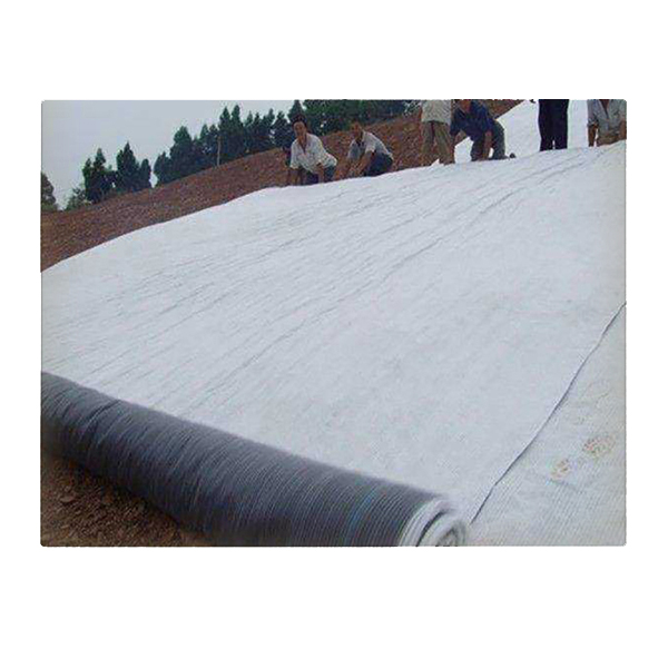 蜜桃APP下载软件有效扩散系数对复合衬垫击穿时间的影响