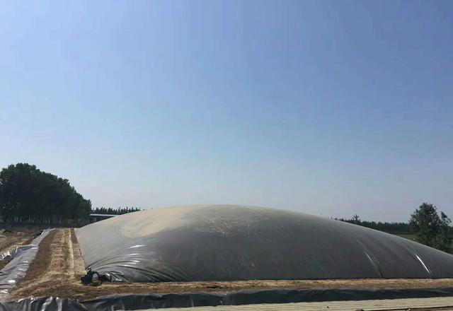 规格0.6mm蜜桃永久免费膜铺设需要注意的细节问题