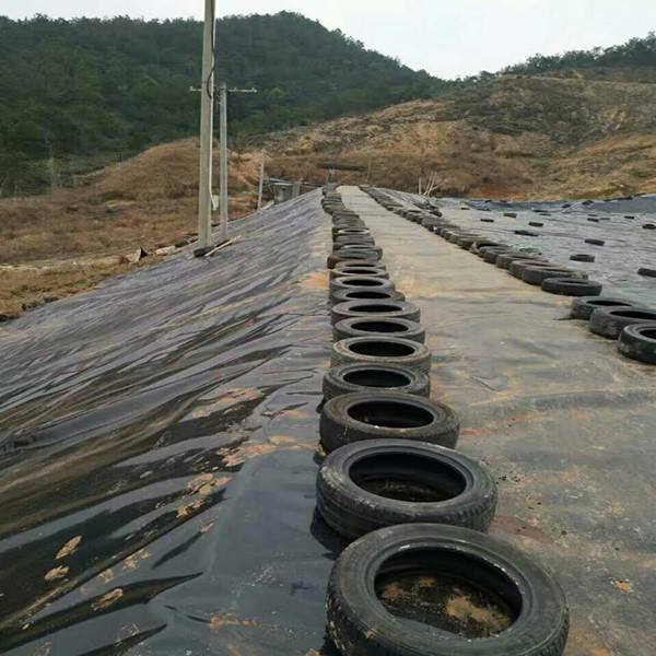 环保领域对蜜桃永久免费合成材料的关注点是什么？