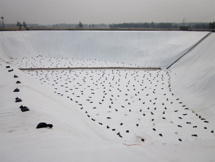 地质情况单一的沙漠地区蜜桃永久免费膜防渗层的优越性