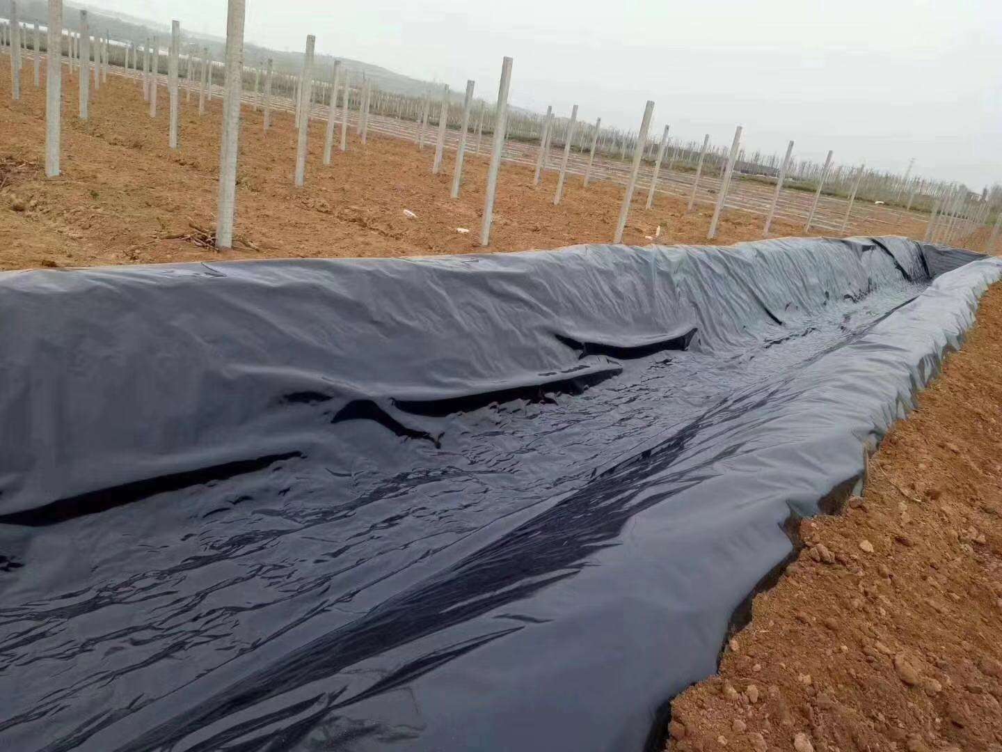 蜜桃永久免费膜常用于垃圾填埋场、水库等，其渗透性能极其重要