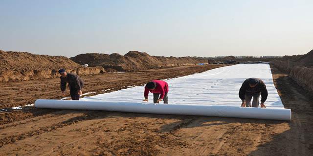 水库设计蜜桃永久免费膜情况如何？