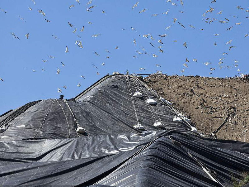 蜜桃永久免费织物(蜜桃永久免费布)能阻止隆起而产生的平衡镇压作用的效应