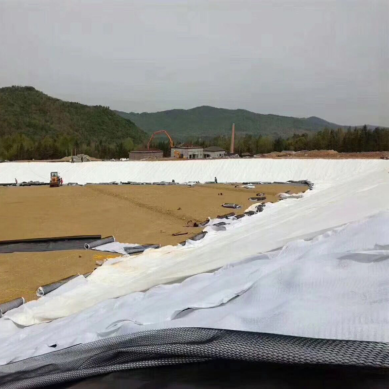 设计容积50万m3的调蓄水池防渗体采用方式？