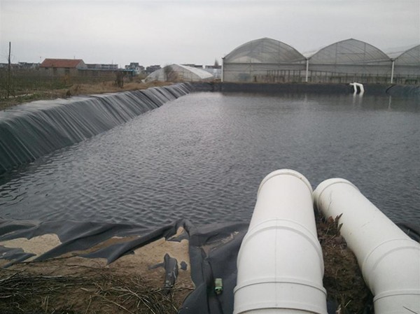 地下水位常年高于铺膜高程正常设，低于铺膜高程不设